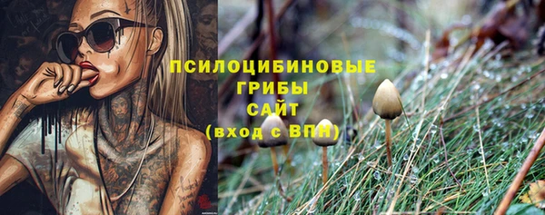 амфетамин Кинешма