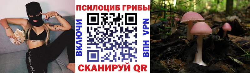 Псилоцибиновые грибы Magic Shrooms  как найти   Межгорье 